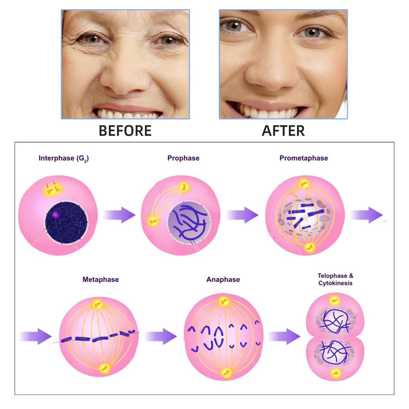 2ml * 7pcs Hyaluronic Acid Mes - Hyaluronic Acid Facial Serum บทวิจารณ์และราคา