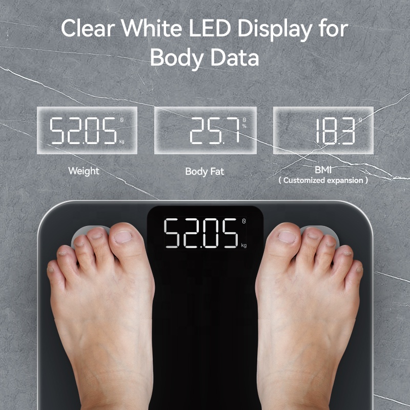 เครื่องชั่งน้ำหนักวัดไขมันในร่ - Health Monitors บทวิจารณ์และราคา