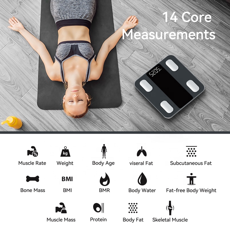 เครื่องชั่งน้ำหนักวัดไขมันในร่ - Health Monitors บทวิจารณ์และราคา